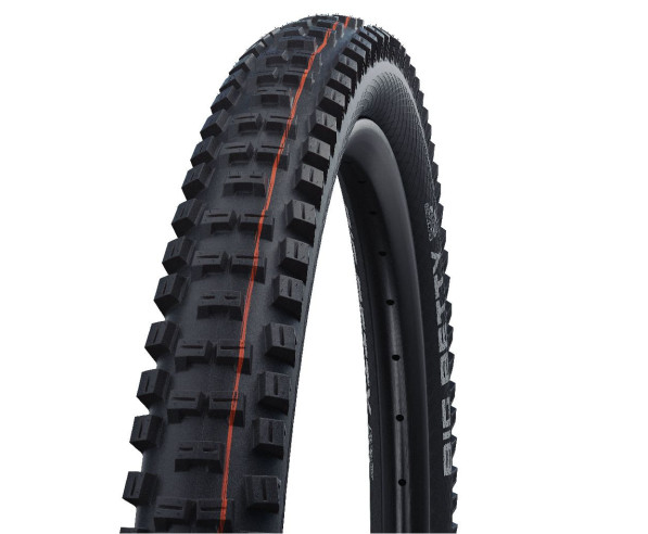 Pneumatico Schwalbe Big Betty 57-406 (20x2,25 pollici)