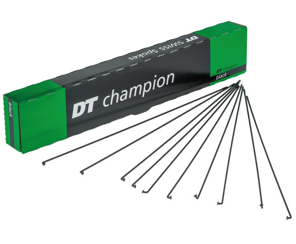 DT Swiss Raggi in acciaio inox DT Champion 2x290mm J-Band