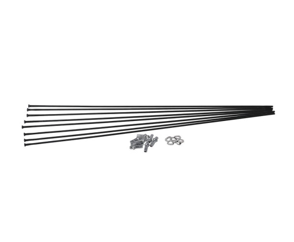 DT Swiss Kit raggi per HX 1501 Spline 27,5 Straight Pull