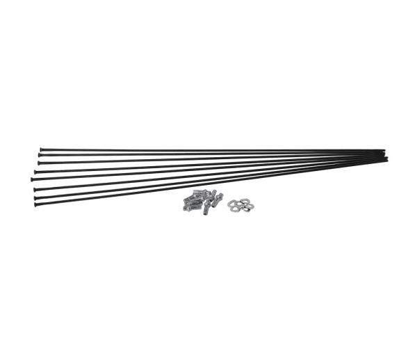 DT Swiss Kit raggi per HX 1501 Spline 29 Straight Pull