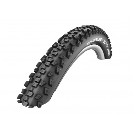 Schwalbe Black Jack 24 Review